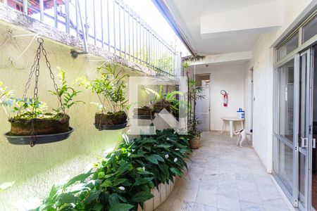 Varanda da Sala 1 de casa à venda com 7 quartos, 400m² em Santo Antônio, Belo Horizonte