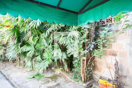 Vista da Sala de Estar de casa à venda com 3 quartos, 114m² em Horto Florestal, Belo Horizonte