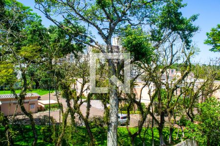 Vista do Quarto 1 de apartamento à venda com 1 quarto, 40m² em Vila Nova, Porto Alegre