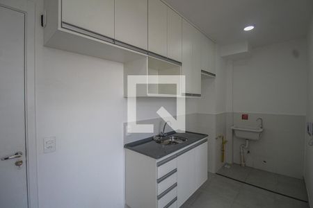 Cozinha de apartamento para alugar com 2 quartos, 34m² em Cambuci, São Paulo