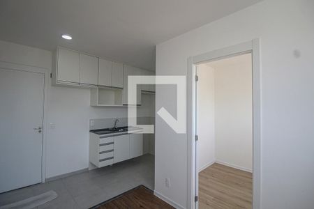 Cozinha de apartamento para alugar com 2 quartos, 34m² em Cambuci, São Paulo