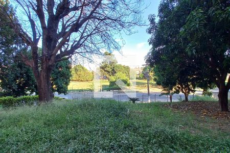 Vista da Sala de apartamento à venda com 2 quartos, 60m² em Vila Padre Manoel de Nóbrega, Campinas