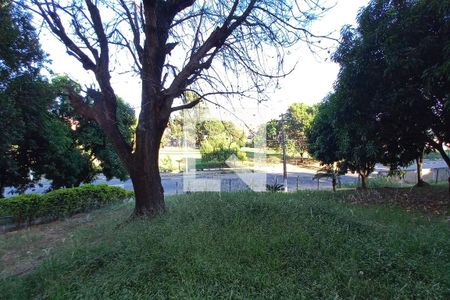 Vista do Quarto 2  de apartamento à venda com 2 quartos, 60m² em Vila Padre Manoel de Nóbrega, Campinas