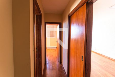 Corredor de apartamento para alugar com 3 quartos, 97m² em Serra, Belo Horizonte