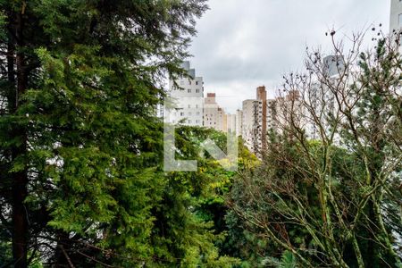 Varanda - Sala de apartamento à venda com 2 quartos, 52m² em Jardim Umarizal, São Paulo