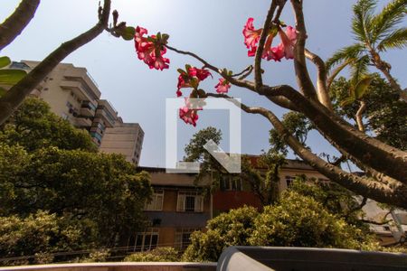 Vista da Sala de apartamento para alugar com 1 quarto, 60m² em Centro, Niterói