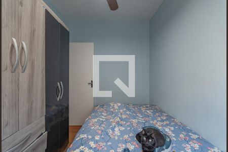 Quarto 2 de apartamento à venda com 3 quartos, 50m² em Castelo, Belo Horizonte