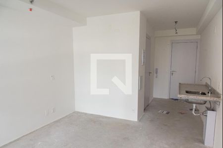 Sala/quarto/cozinha de casa para alugar com 1 quarto, 29m² em Vila Mariana, São Paulo