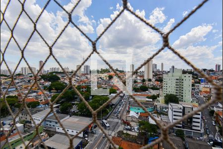 Vista da Varanda gourmet de apartamento para alugar com 4 quartos, 114m² em Vila Santo Antonio, Guarulhos