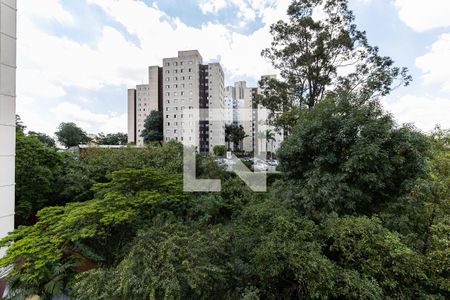 Vista da Sala de apartamento à venda com 2 quartos, 50m² em Jardim Vergueiro, São Paulo