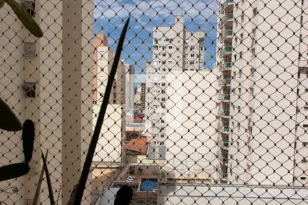 VISTA DA SALA de apartamento para alugar com 2 quartos, 101m² em Centro, Campinas