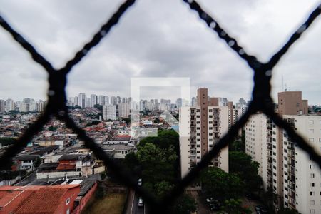 Vista da Varanda da Sala de apartamento à venda com 2 quartos, 52m² em Jardim Umarizal, São Paulo