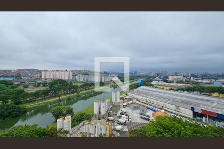 Vista da Sala de apartamento para alugar com 2 quartos, 30m² em Socorro, São Paulo