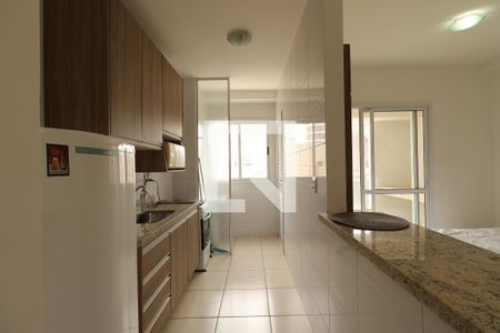 Cozinha de apartamento para alugar com 1 quarto, 50m² em Nova Aliança, Ribeirão Preto