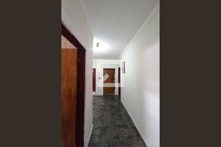 Corredor de casa para alugar com 3 quartos, 250m² em Jardim Campos Eliseos, Campinas