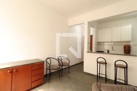 Sala de apartamento para alugar com 1 quarto, 35m² em Vila Amelia, Ribeirão Preto