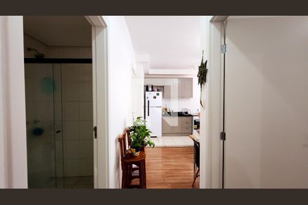 Corredor de apartamento para alugar com 2 quartos, 46m² em Ponte Sao Joao, Jundiaí