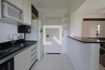 Cozinha de apartamento para alugar com 3 quartos, 78m² em Nova Aliança, Ribeirão Preto