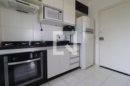 Cozinha de apartamento para alugar com 3 quartos, 78m² em Nova Aliança, Ribeirão Preto