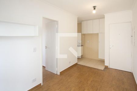 Sala de apartamento para alugar com 1 quarto, 30m² em Planalto Paulista, São Paulo