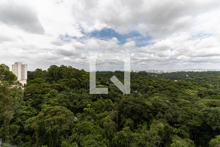 Vista da Varanda da Sala de apartamento para alugar com 3 quartos, 63m² em Vila Moraes, São Paulo