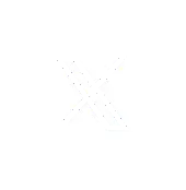 X icon