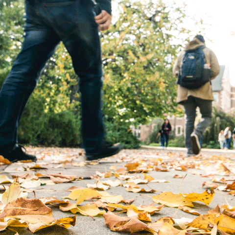 Regis University Victim Advocacy and Violence Prevention 