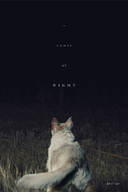 It Comes at Night (Eerie Series) Poster