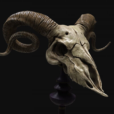 Ram Skull 3D Model