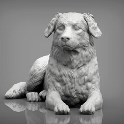 Australian Shepherd 3D Print Model