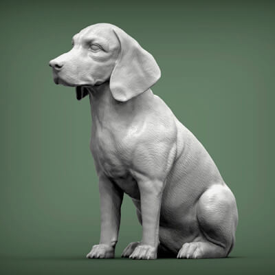 Beagle Dog 3D Print Model