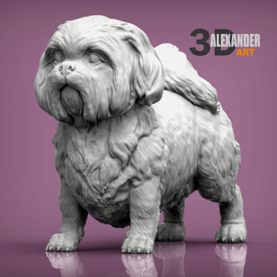 British Shih Tzu 3D Print Model