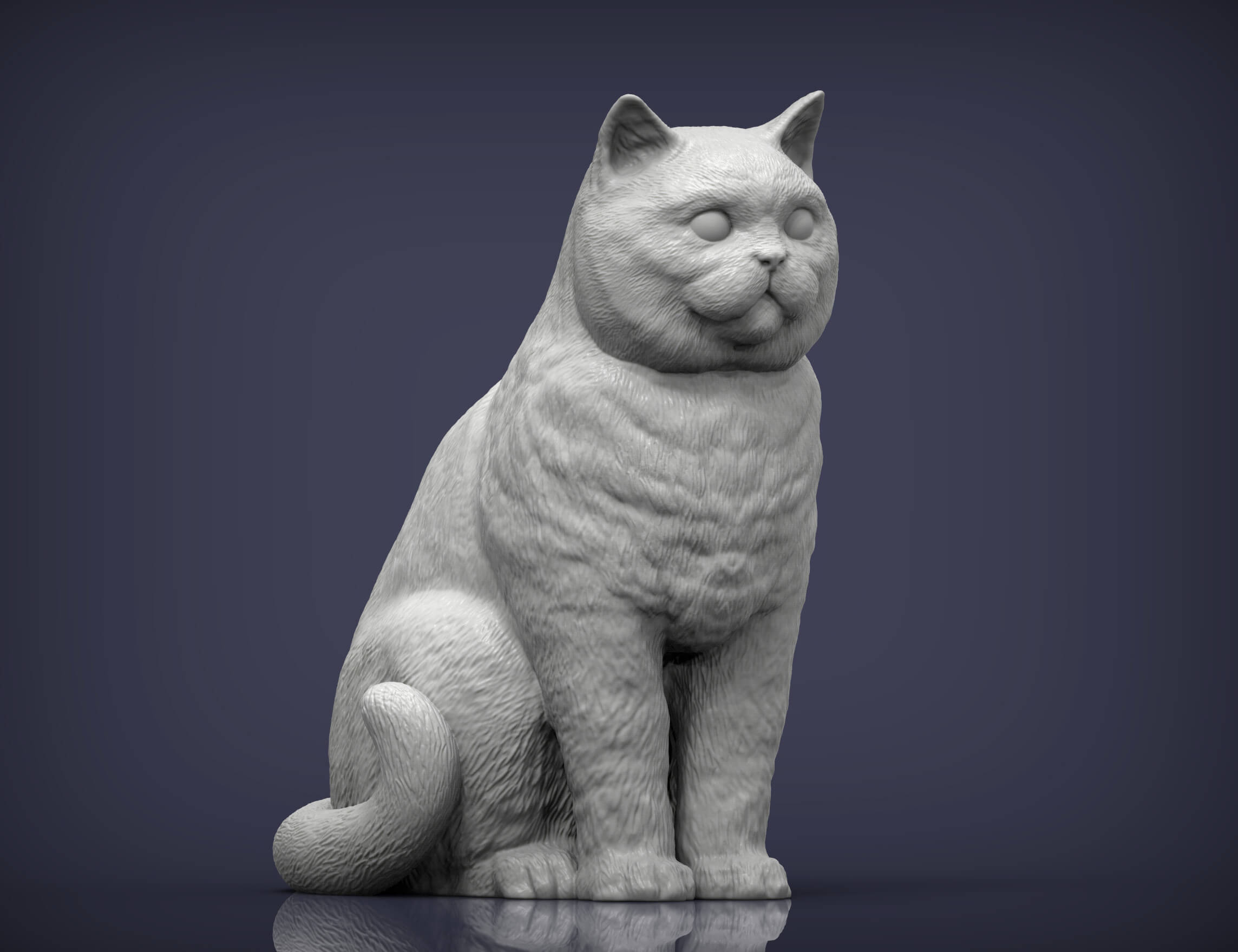 British Shorthair Cat 3D Print Model 3D Model