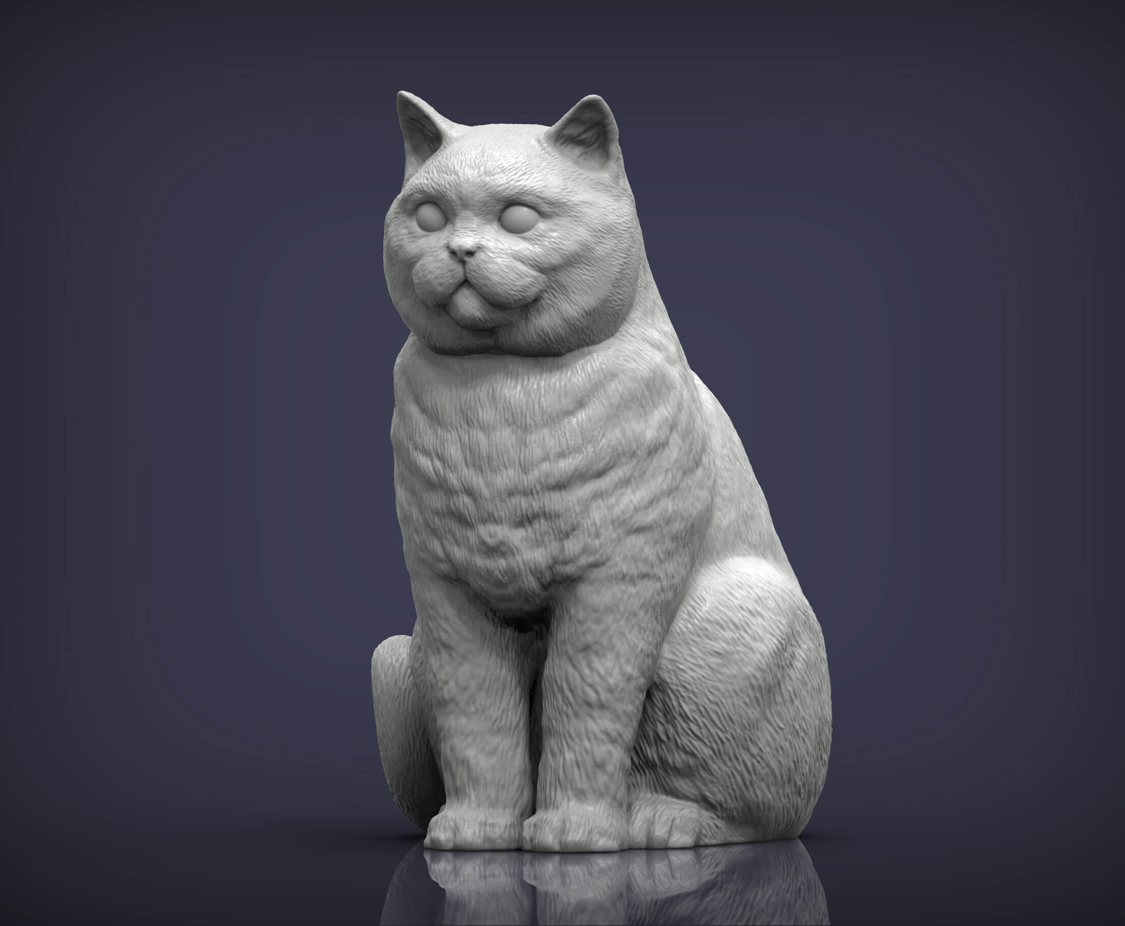 British Shorthair Cat 3D Print Model 3D Model