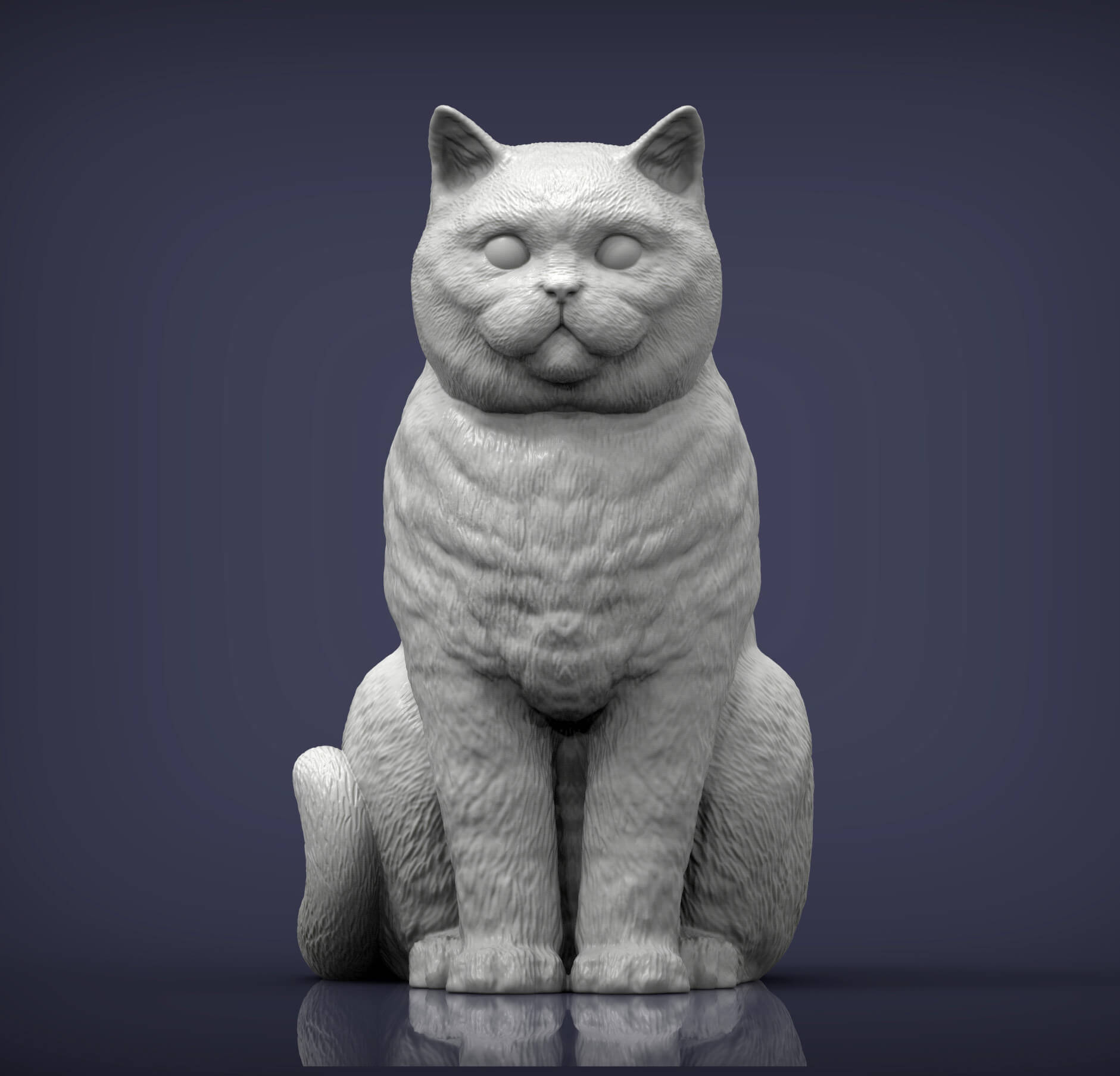 British Shorthair Cat 3D Print Model 3D Model