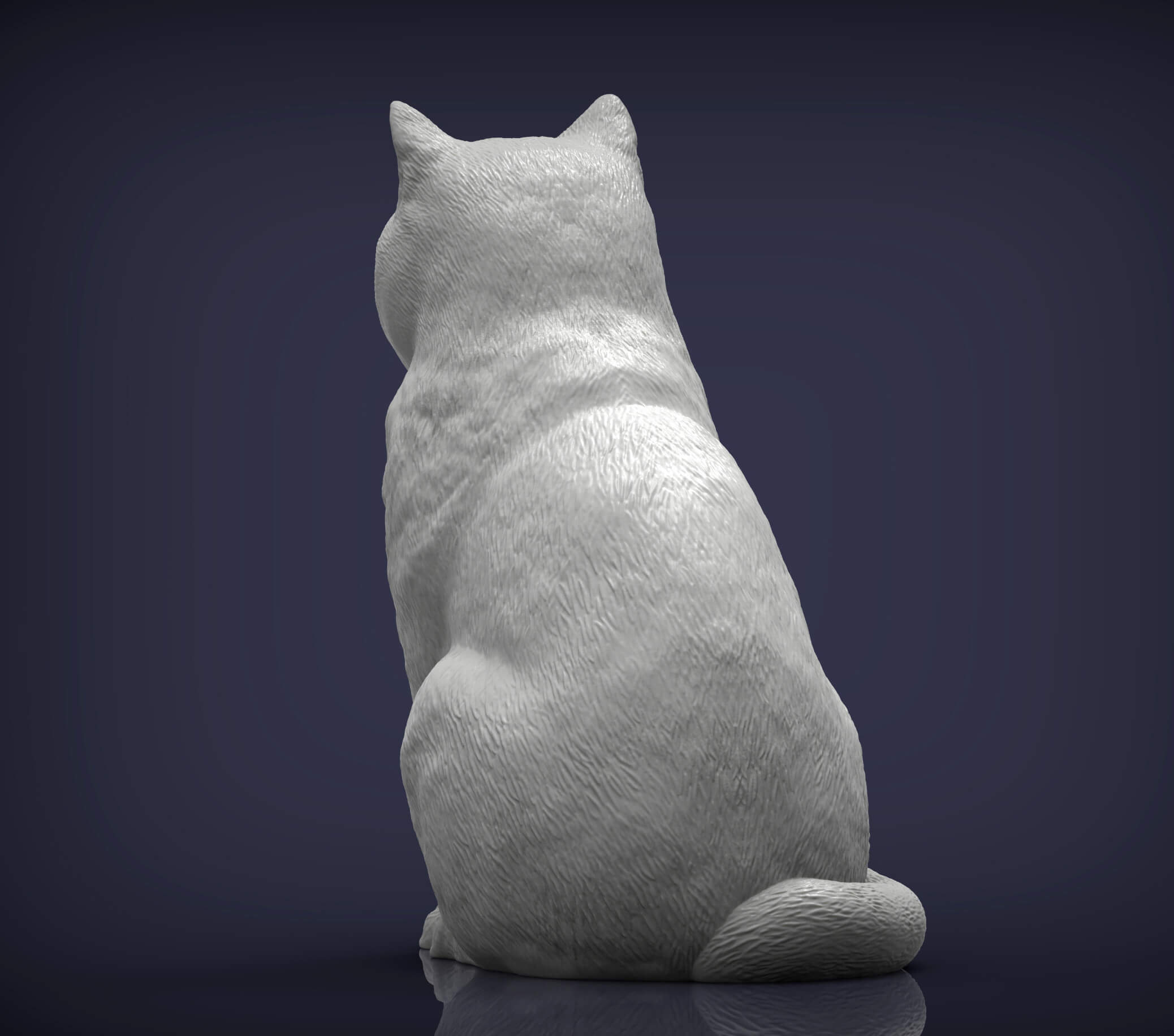 British Shorthair Cat 3D Print Model 3D Model