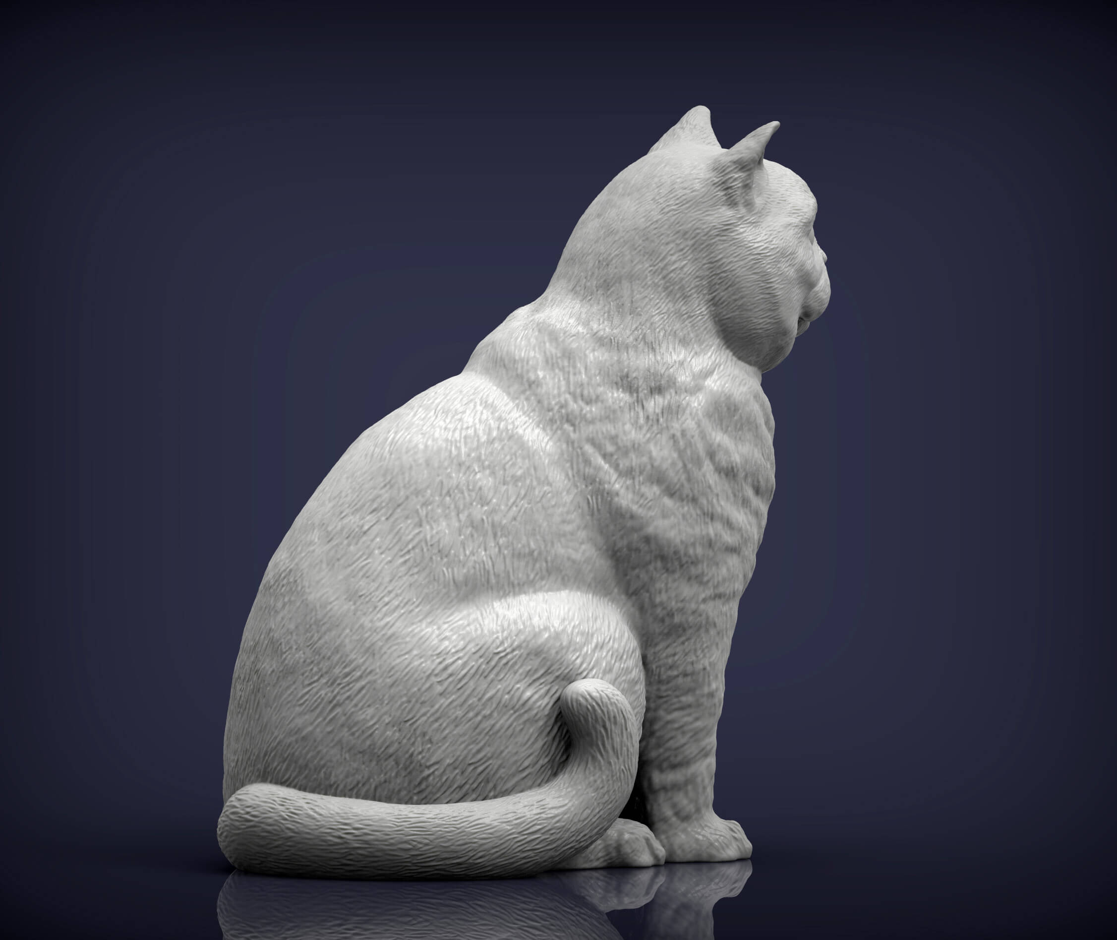 British Shorthair Cat 3D Print Model 3D Model