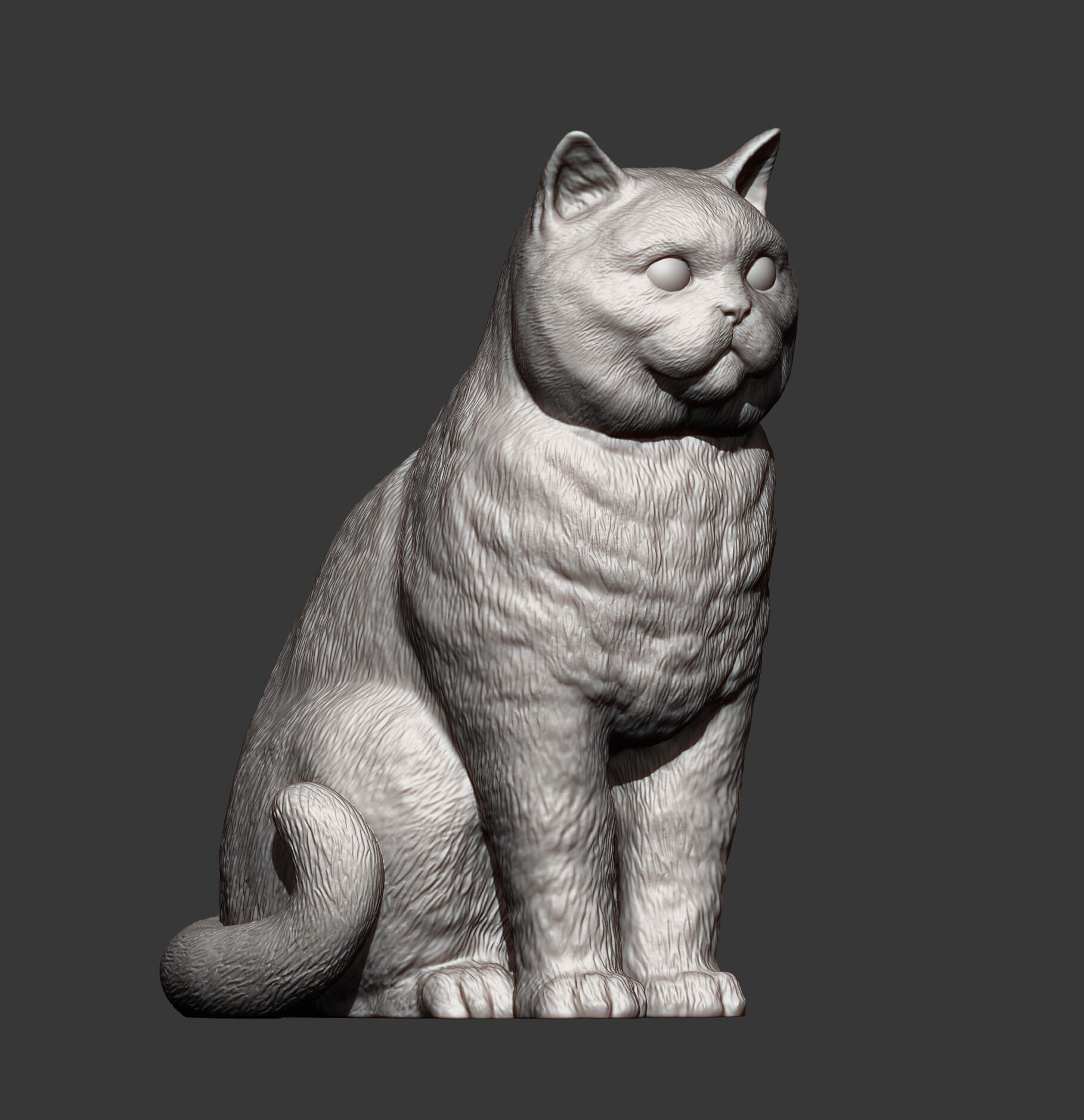 British Shorthair Cat 3D Print Model 3D Model