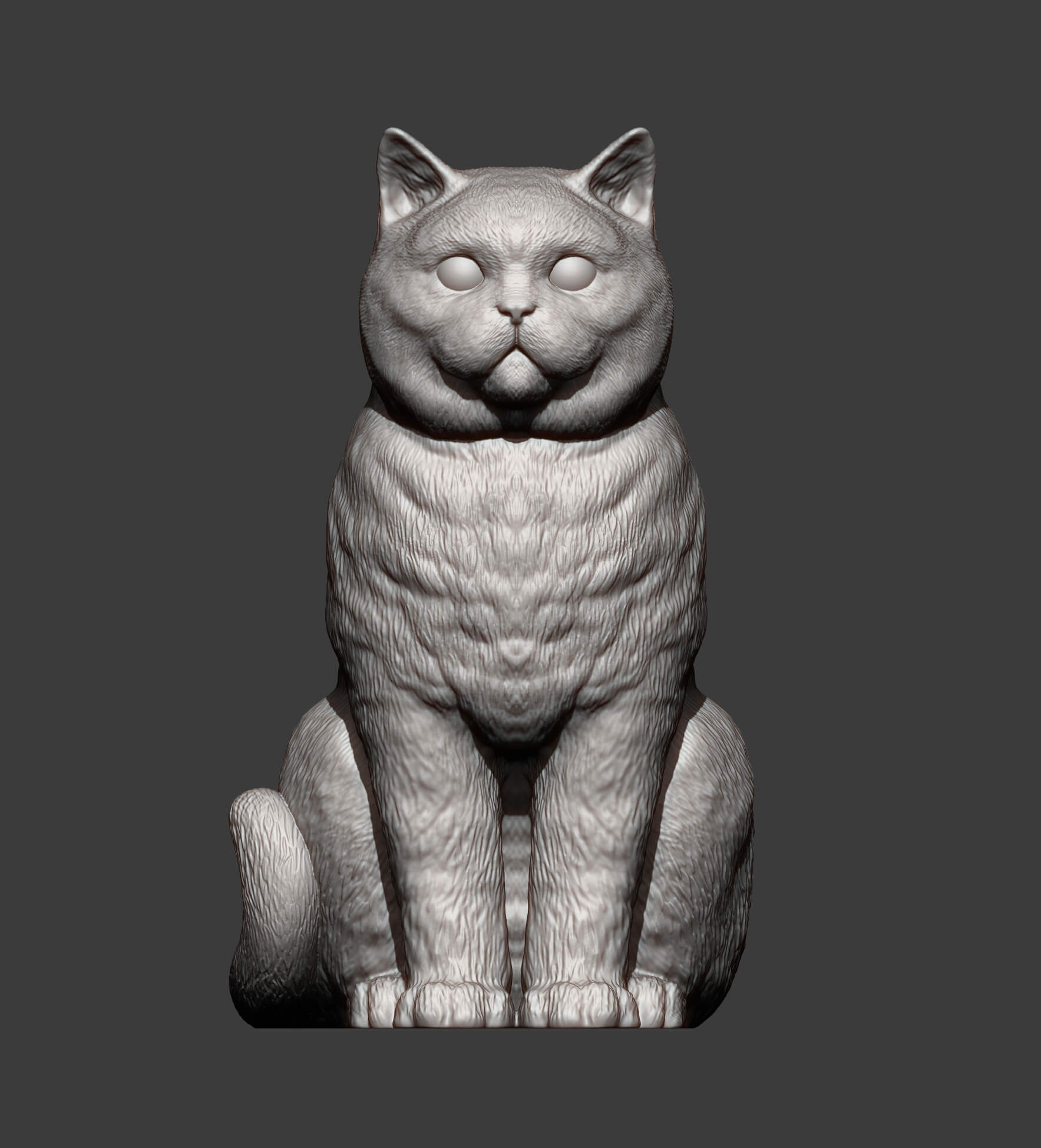 British Shorthair Cat 3D Print Model 3D Model