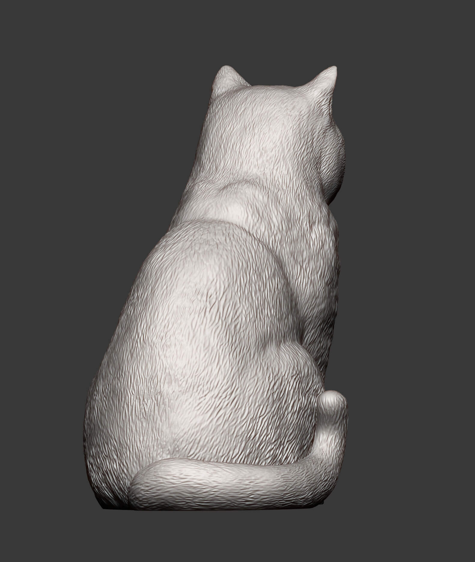 British Shorthair Cat 3D Print Model 3D Model