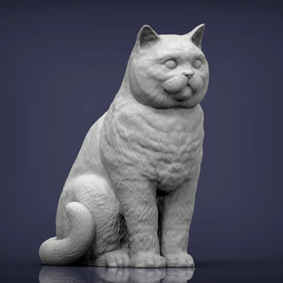 British Shorthair Cat 3D Print Model