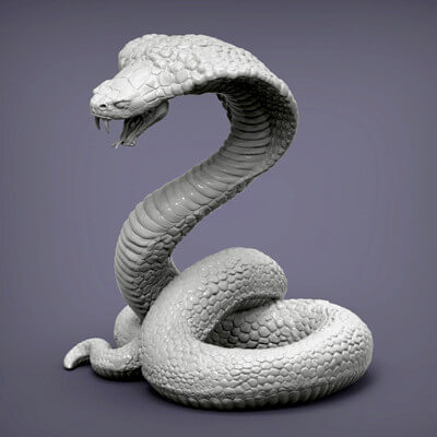 Cobra Snake 3D Print Model