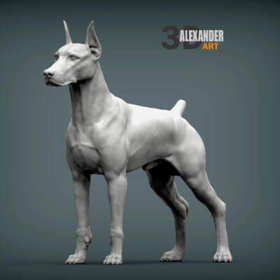 Doberman 3D Print Model