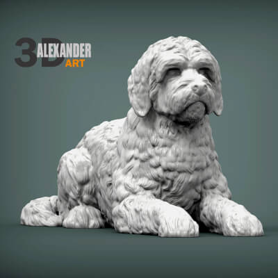 Goldendoodle Lies 3D Print Model