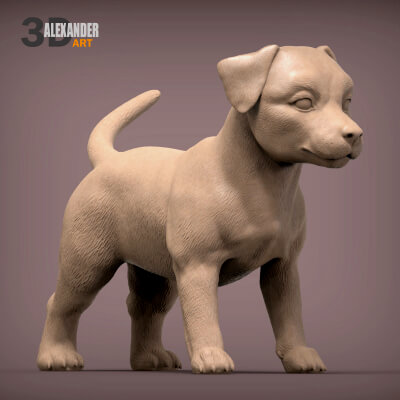 Jack Russell Puppy 3D Model