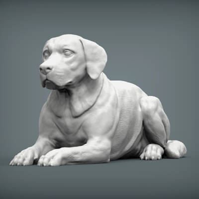 Labrador Lies 3D Print Model