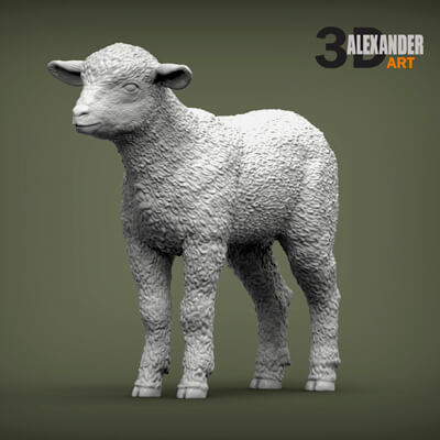 Lamb 3D Print Model