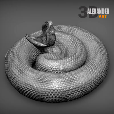 Northern Cottonmouth Snake 3D Model