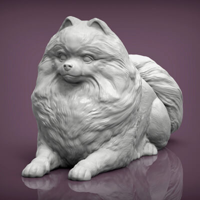 Pomeranian 3D Print Model 3D Print Model