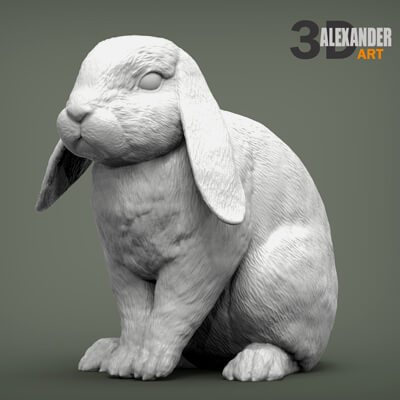 Rabbit Ram 3D Print Model